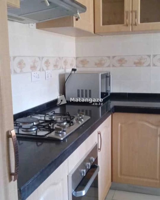 APARTMENTS YENYE VYUMBA VITATU FULL FURNISHED INAPANGISHWA DOLLAR 800 KWA MWEZI IPO KUNDUCHI BEACH