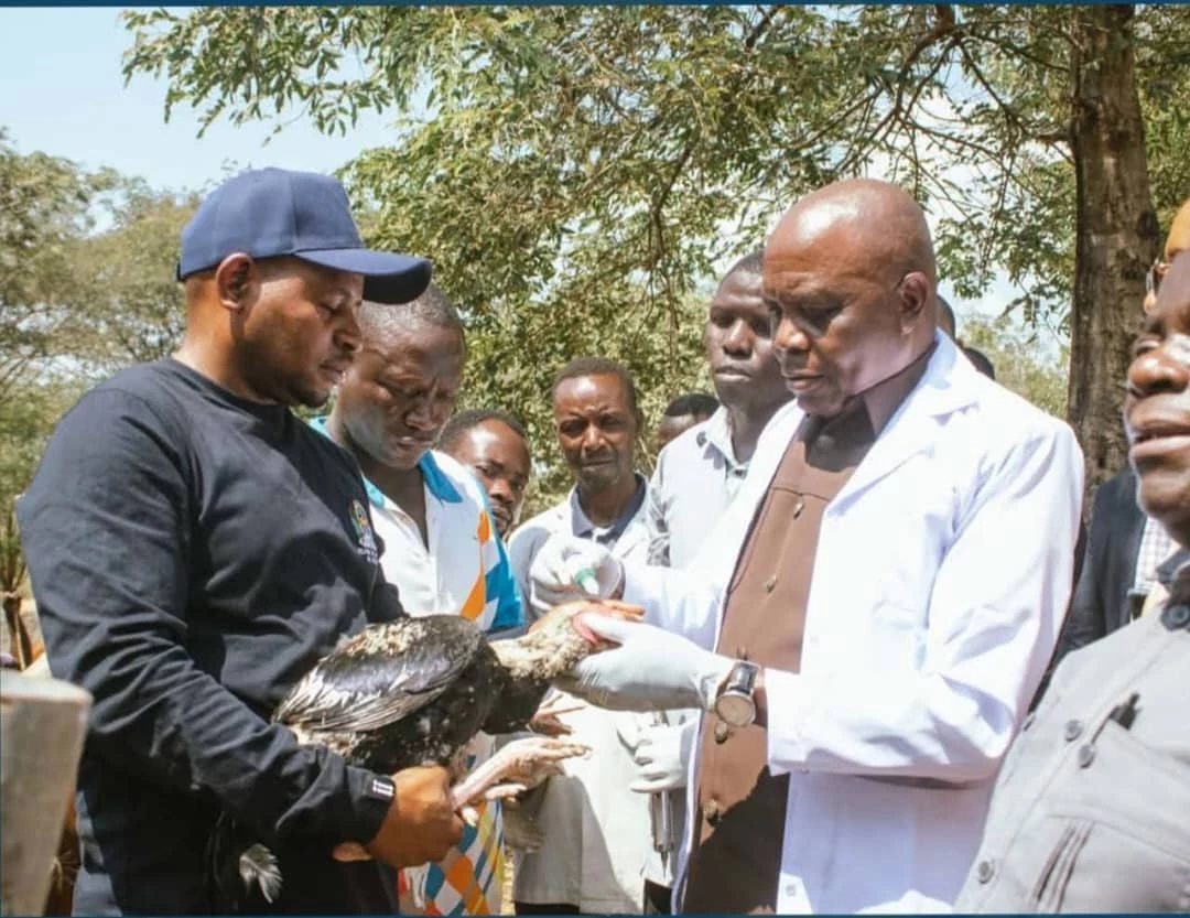 KAMPENI YA CHANJO NA UTAMBUZI WA  MIFUGO IMEENDELEA KUTEKELEZWA