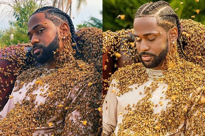 BIG SEAN NA TUHUMA ZA UPASUAJI  KUTENGENEZA "6 PACKS "